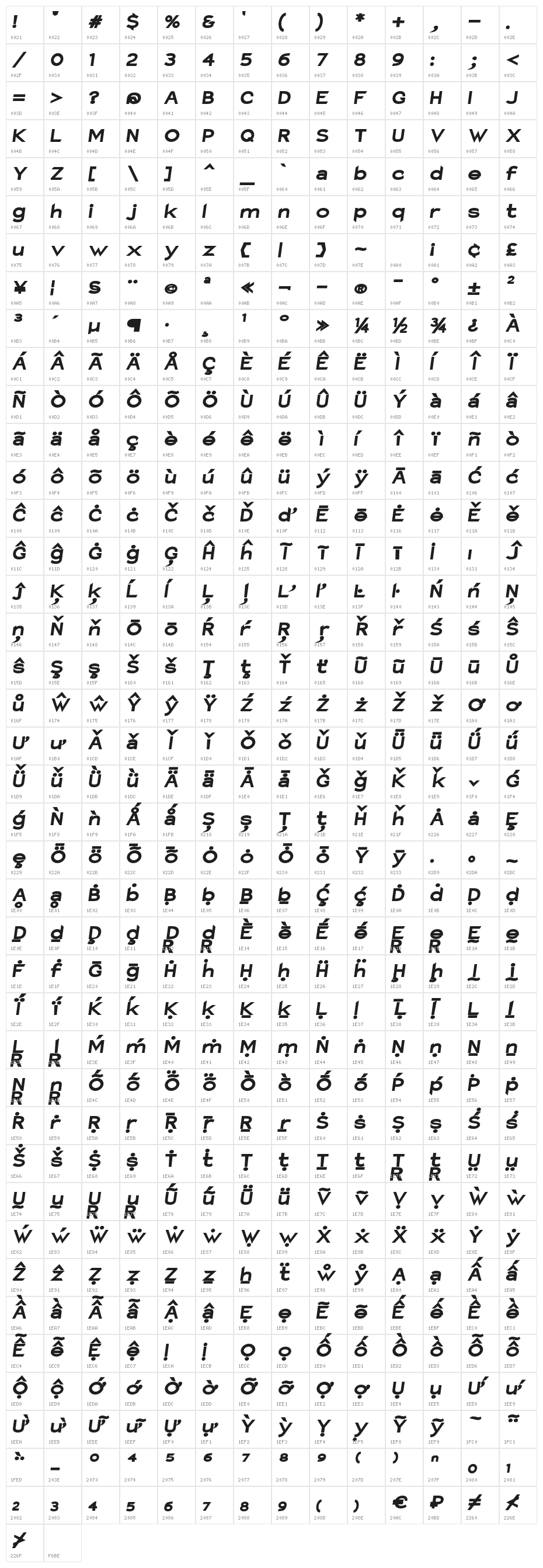 Charger Hemi R/T Character Map