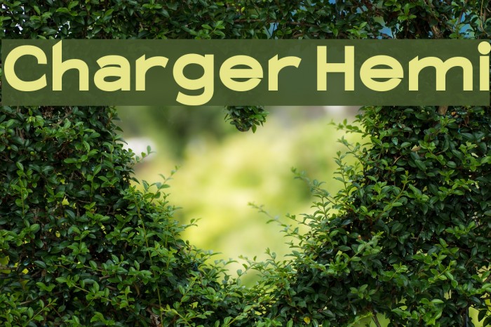 Charger Hemi フォント examples