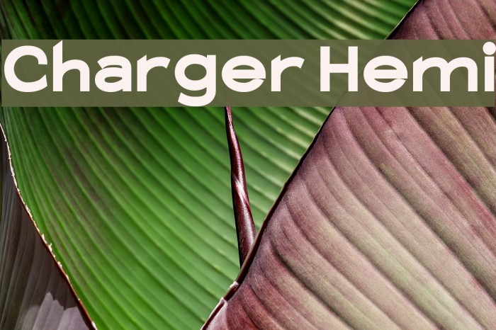 Charger Hemi フォント examples