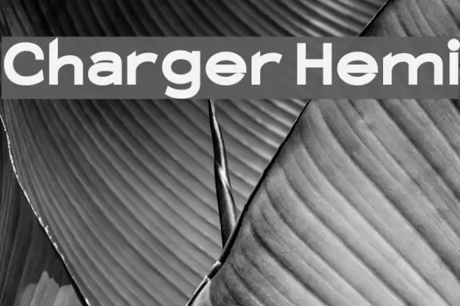 Charger Hemi フォント examples