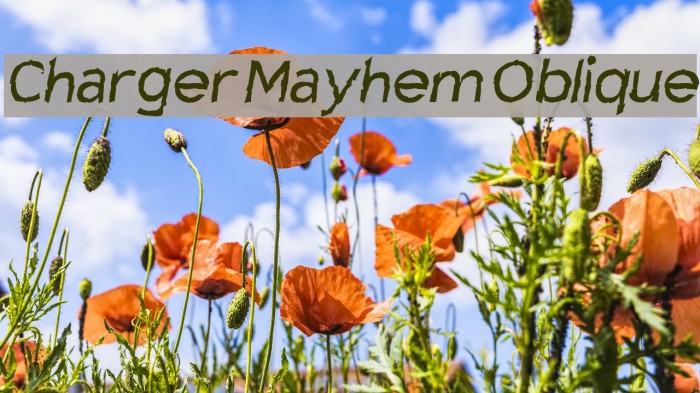 Charger Mayhem Oblique Font examples