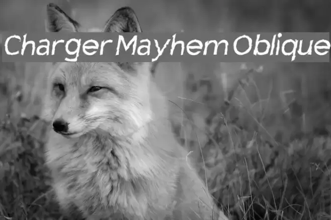 Charger Mayhem Oblique Font examples
