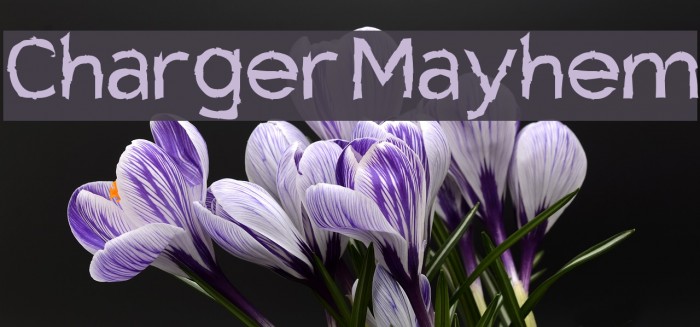 Charger Mayhem Font examples