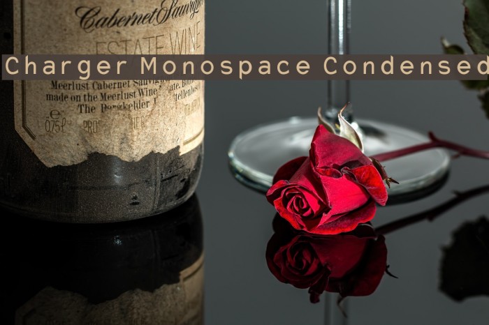 Charger Monospace Condensed Font examples
