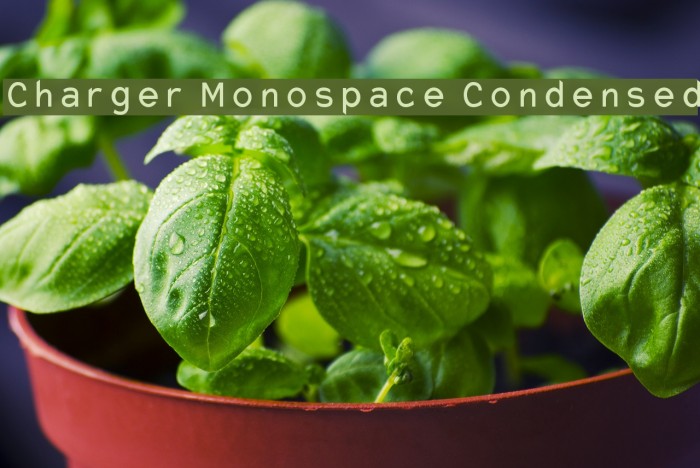 Charger Monospace Condensed Font examples