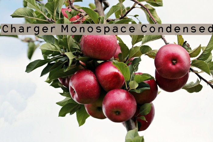Charger Monospace Condensed Font examples