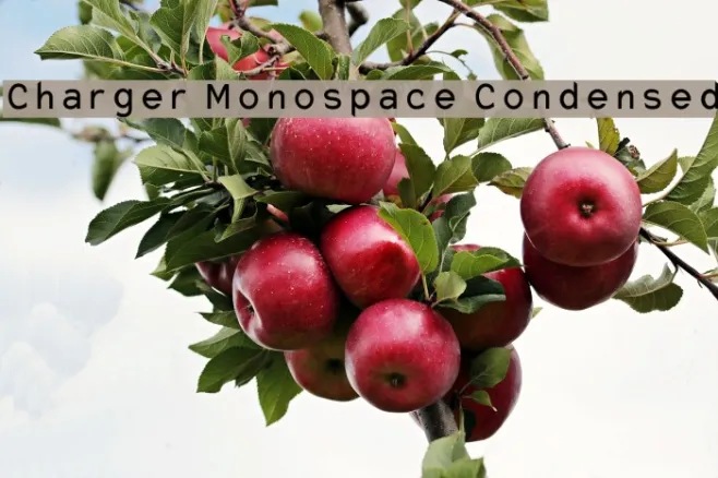 Charger Monospace Condensed Example 3