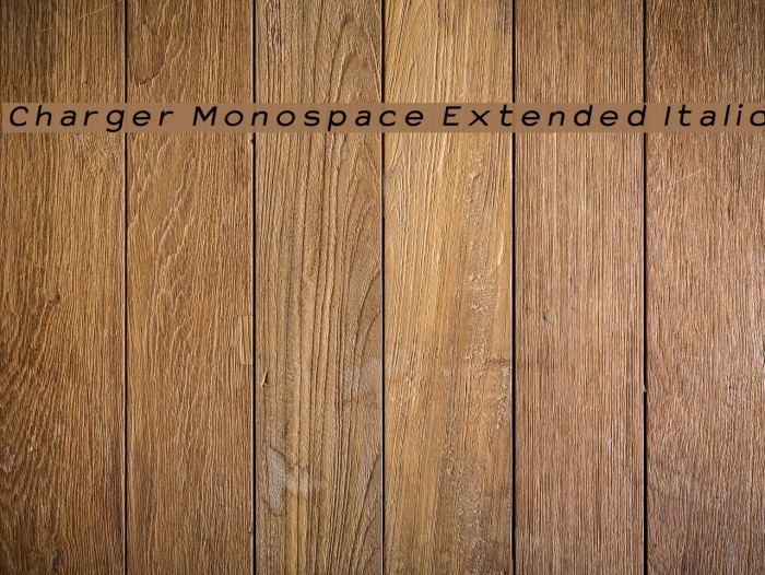 Charger Monospace Extended Italic Font examples