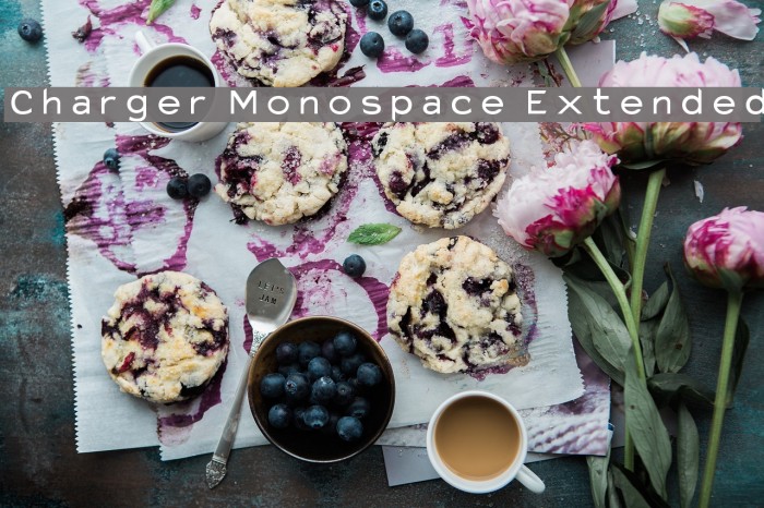Charger Monospace Extended Font examples
