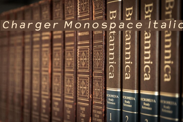 Charger Monospace Italic Font examples