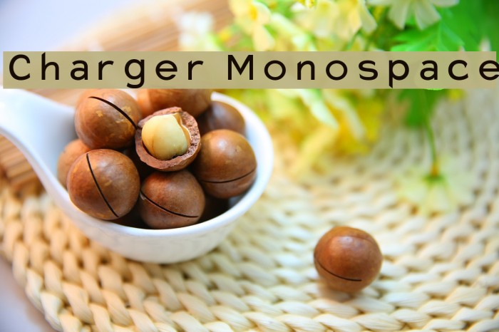 Charger Monospace Font examples