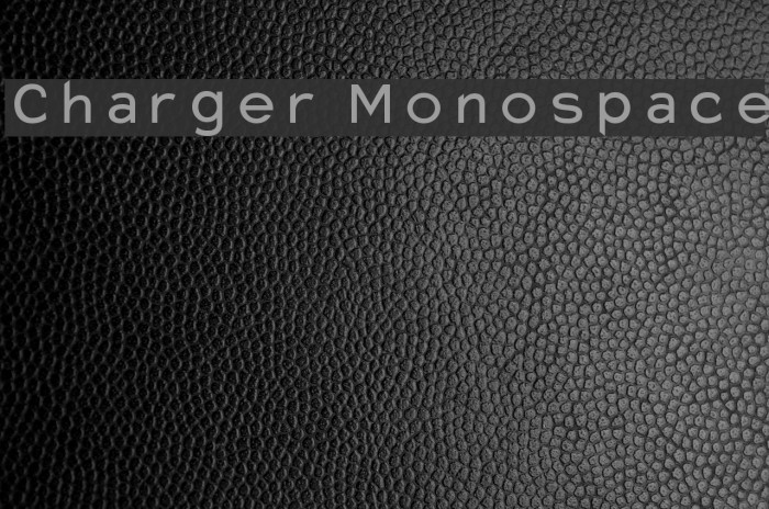 Charger Monospace Font examples