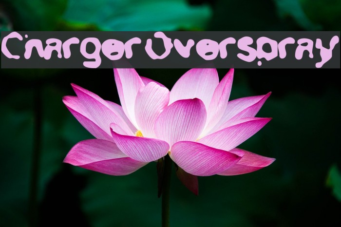 Charger Overspray Font examples