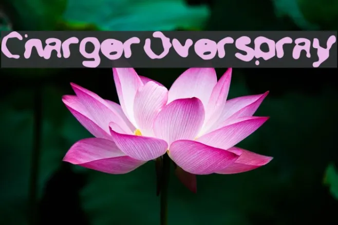 Charger Overspray Example 2