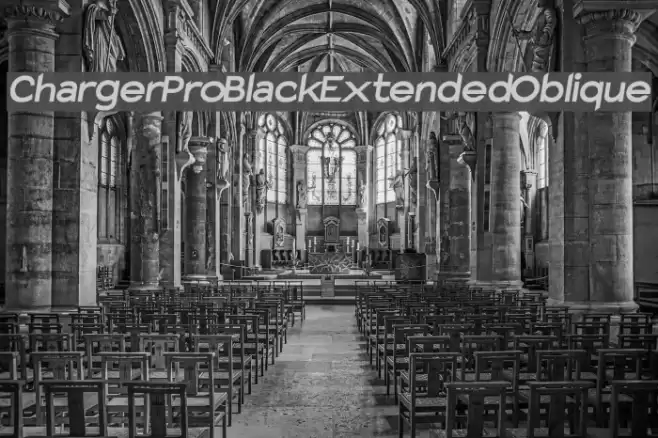Charger Pro Black Extended Oblique examples