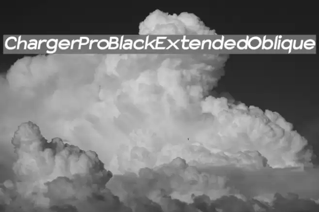 Charger Pro Black Extended Oblique examples