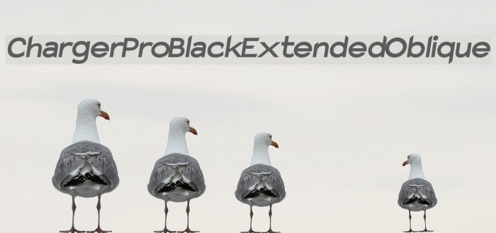 Charger Pro Black Extended Oblique Font examples