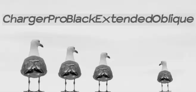 Charger Pro Black Extended Oblique examples