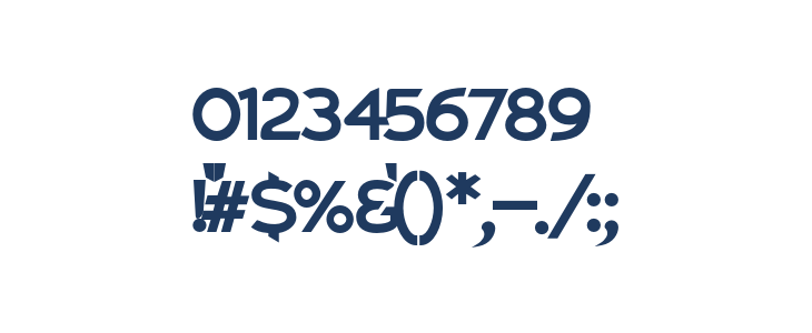 Charger Pro Black Extended Other Characters