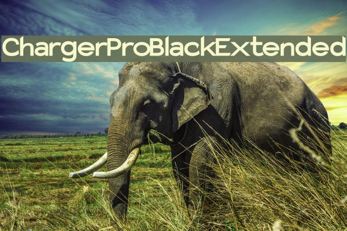 Charger Pro Black Extended Example 2