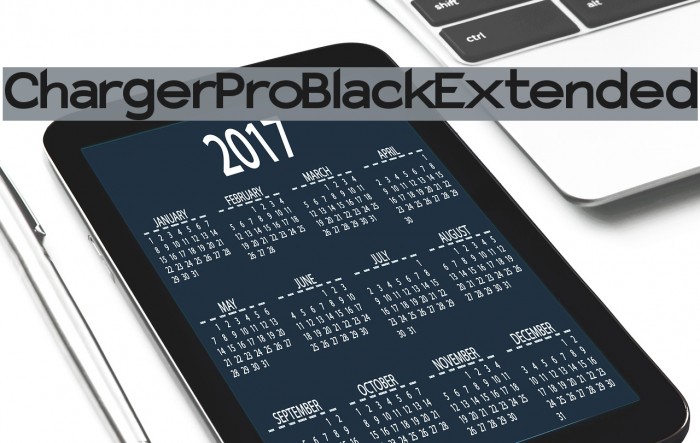 Charger Pro Black Extended Example 3