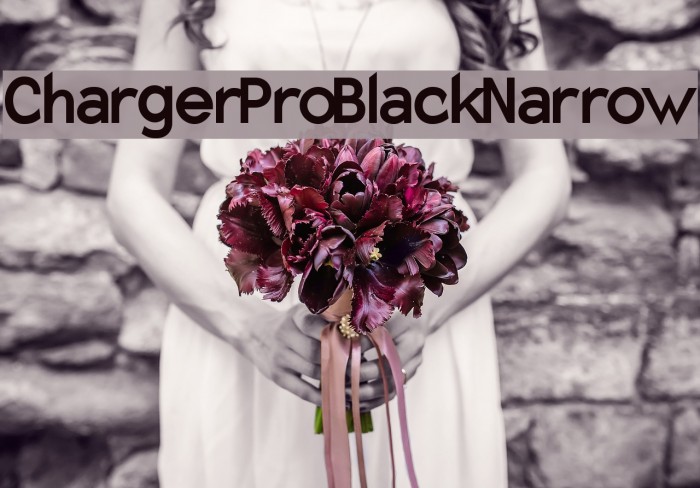 Charger Pro Black Narrow Font examples
