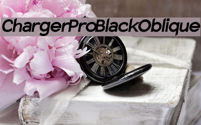 Charger Pro Black Oblique Font examples