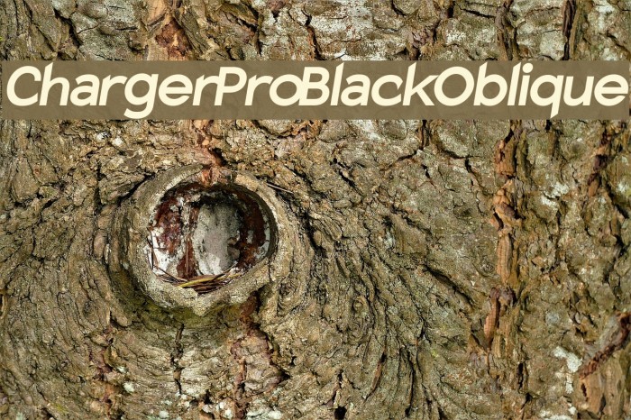 Charger Pro Black Oblique Font examples