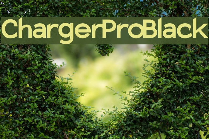 Charger Pro Black Font examples