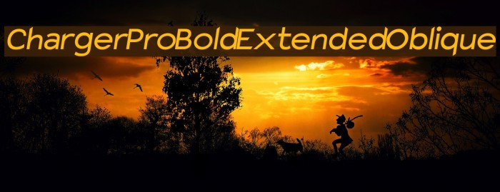 Charger Pro Bold Extended Oblique Font examples