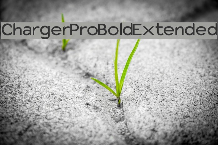 Charger Pro Bold Extended Font examples