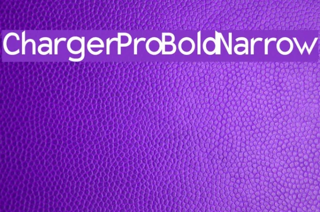 Charger Pro Bold Narrow Example 1