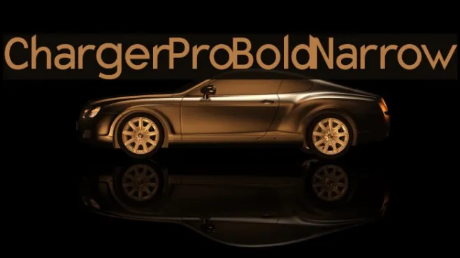 Charger Pro Bold Narrow Example 3