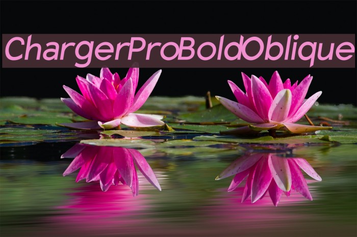 Charger Pro Bold Oblique Font examples