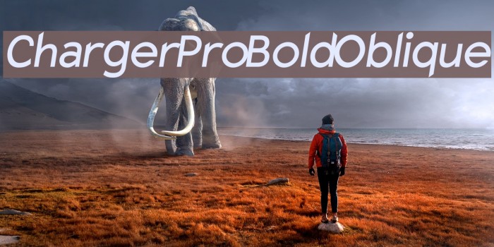 Charger Pro Bold Oblique Font examples