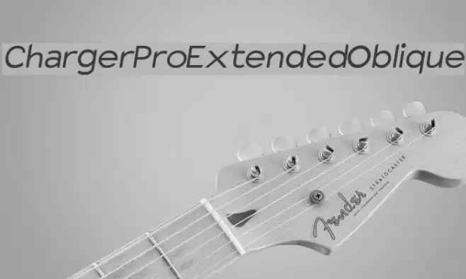 Charger Pro Extended Oblique examples