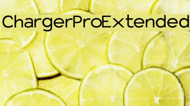 Charger Pro Extended Example 2