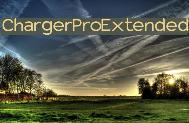 Charger Pro Extended Example 3