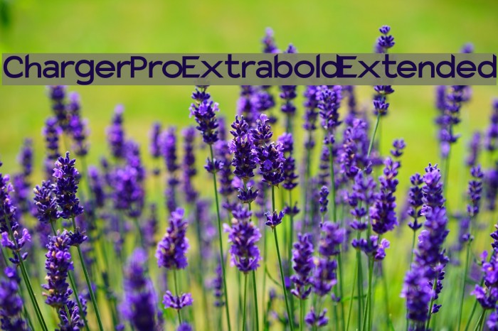 Charger Pro Extrabold Extended Font examples