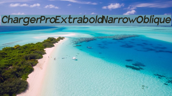 Charger Pro Extrabold Narrow Oblique Font examples