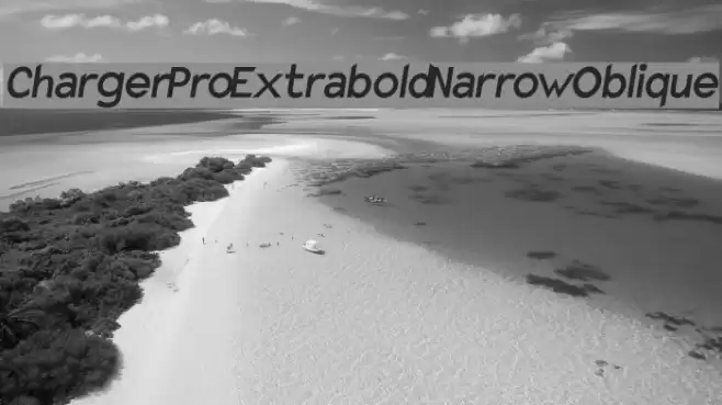 Charger Pro Extrabold Narrow Oblique Font examples