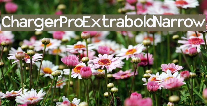 Charger Pro Extrabold Narrow Font examples