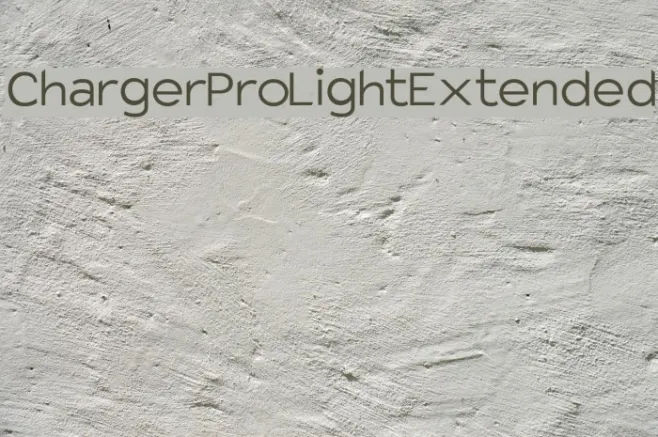 Charger Pro Light Extended Example 1