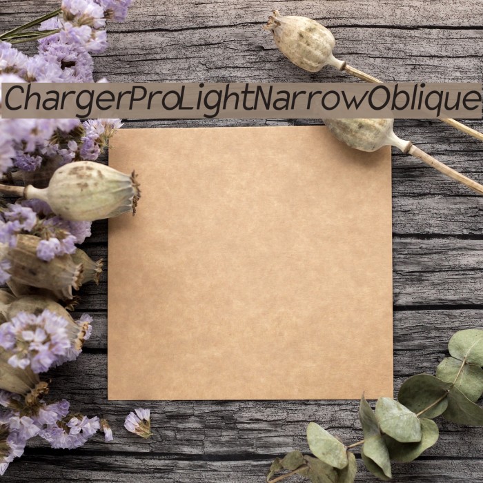 Charger Pro Light Narrow Oblique Example 2