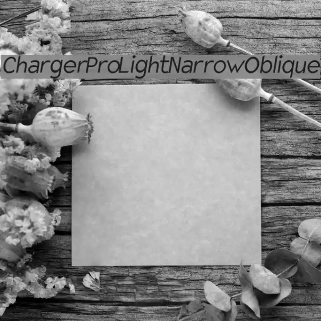 Charger Pro Light Narrow Oblique Font examples
