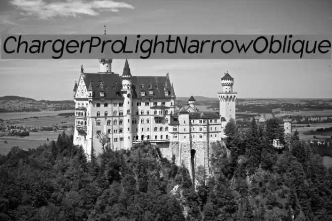 Charger Pro Light Narrow Oblique Font examples