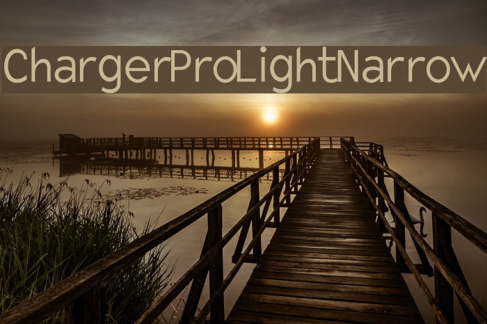 Charger Pro Light Narrow Font examples