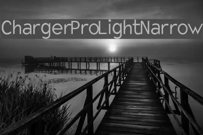 Charger Pro Light Narrow Fuentes examples