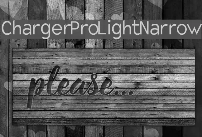 Charger Pro Light Narrow Fuentes examples