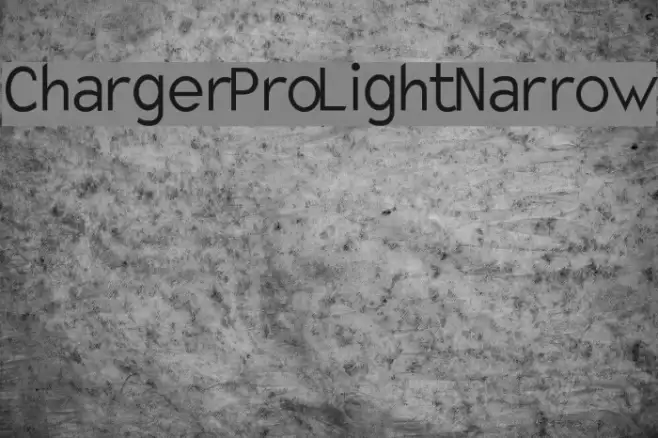 Charger Pro Light Narrow Fuentes examples